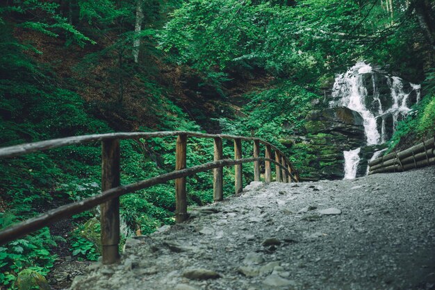 Cascada en sendero de turismo forestal