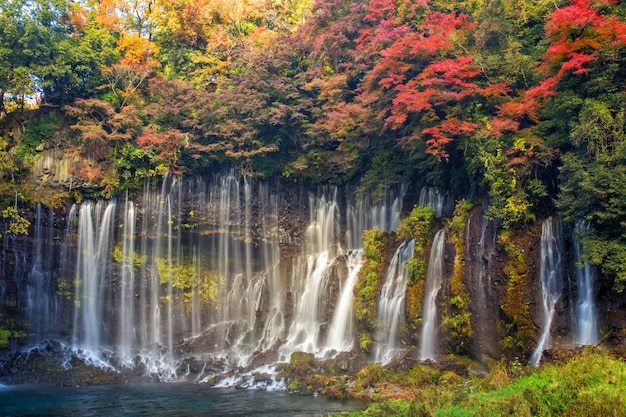 Cascada de shiraito