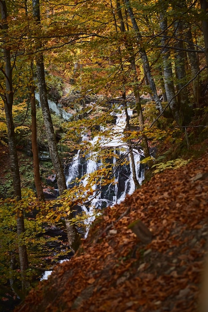 Cascada de Shupit con hojas de otoño Montañas de los Cárpatos Ucrania Rutas de senderismo y senderismo en la cresta de Borzhava Zona rural de las montañas de los Cárpatos en otoño
