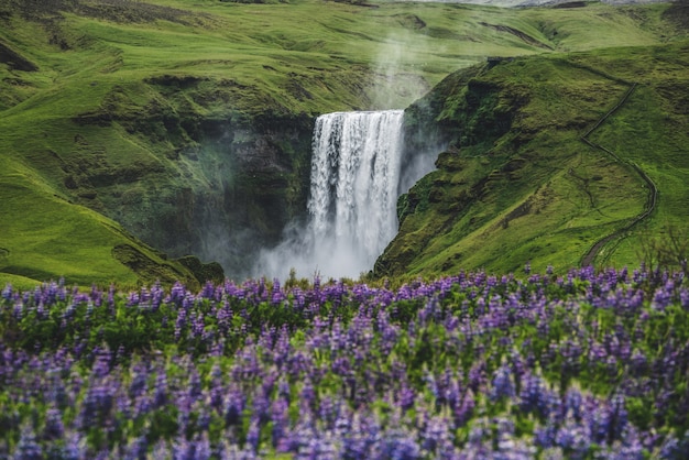 Cascada de Skogafoss en Islandia en verano.