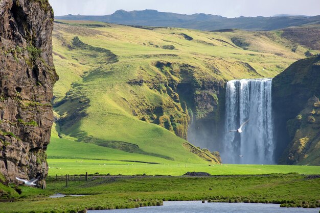 Foto la cascada de skogafoss en islandia