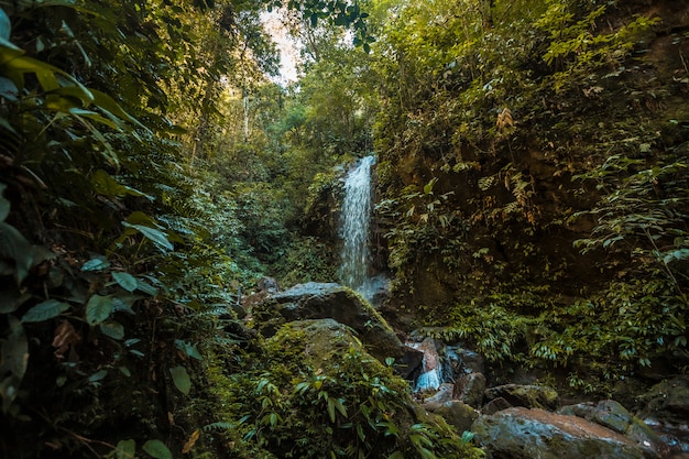 Cascada y su entorno natural del Parque Nacional Cerro Azul Meambar (Panacam) en el lago Yojoa. Honduras
