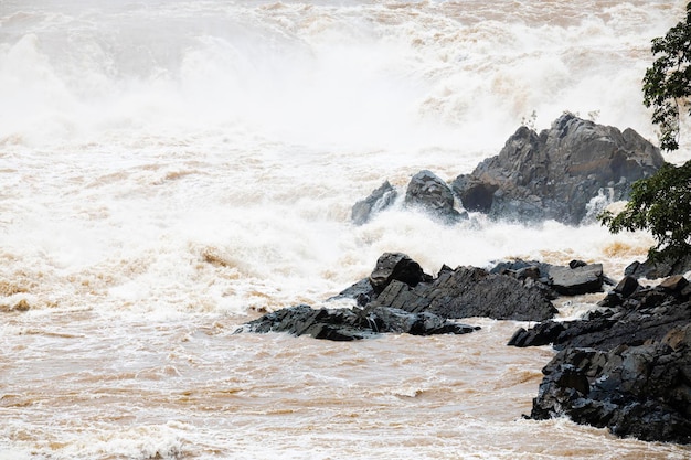 Cascada en el sur de Laos Cascada de Lone Creek y estanque debajo de las cataratas de agua de Khoneprapheng Piedra