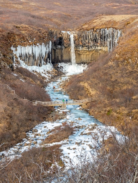 Cascada de Svartifoss Islandia en el parque nacional de Vatnajokull en arena de larva negra congelación de agua simple