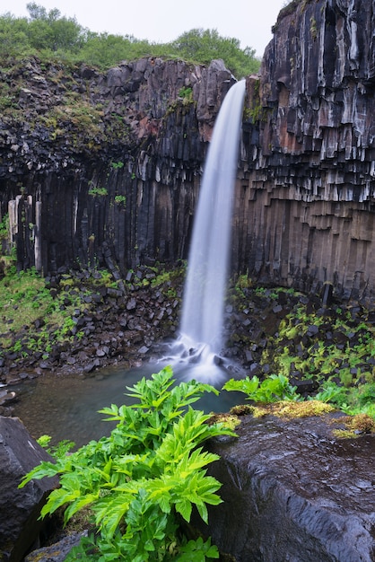 Cascada Svartifoss en el sureste de Islandia