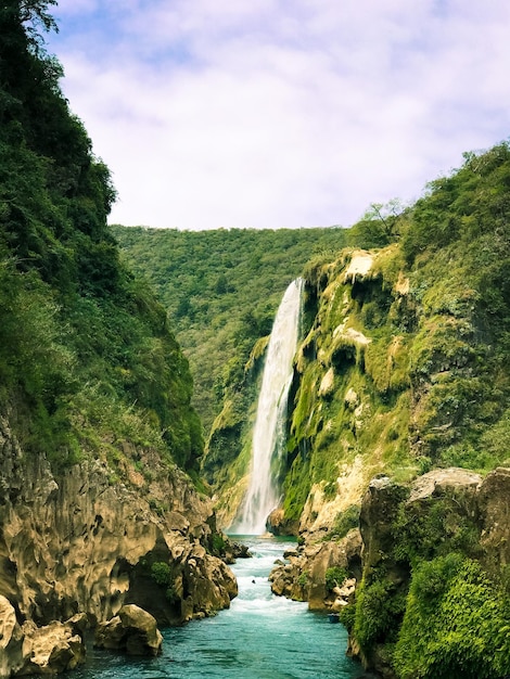 Foto cascada tamul