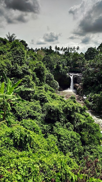 Cascada Tegenungan cerca de Ubud en Bali Indonesia