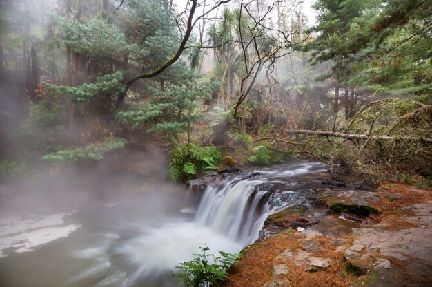 Cascada termal en Kerosene Creek, Rotorua, Nueva Zelanda. Paisajes naturales insólitos