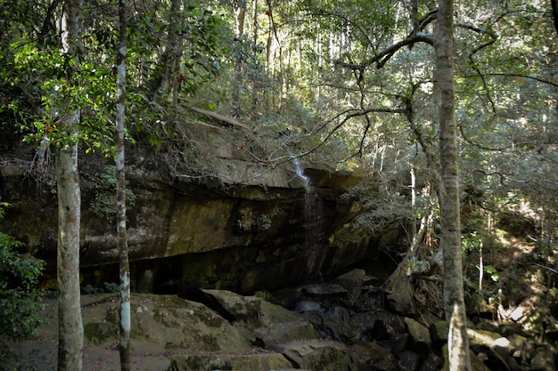 Cascada de Tham Yai en el Parque Nacional Phu Kradueng Tailandia