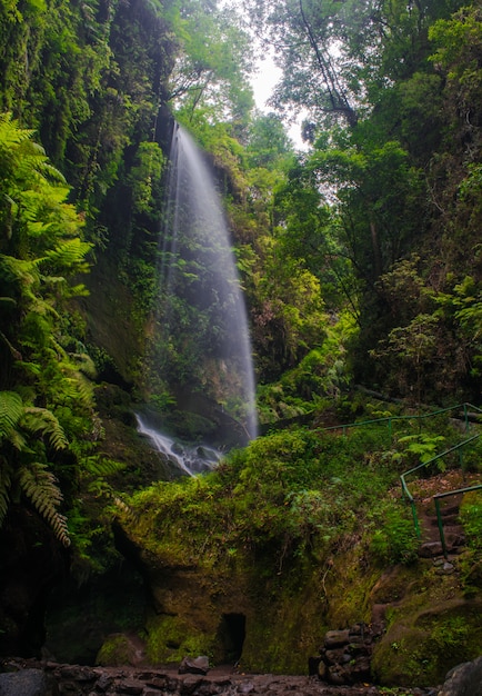 Cascada Los Tilos, San Andrés y Sauces, La Palma, Islas Canarias, España