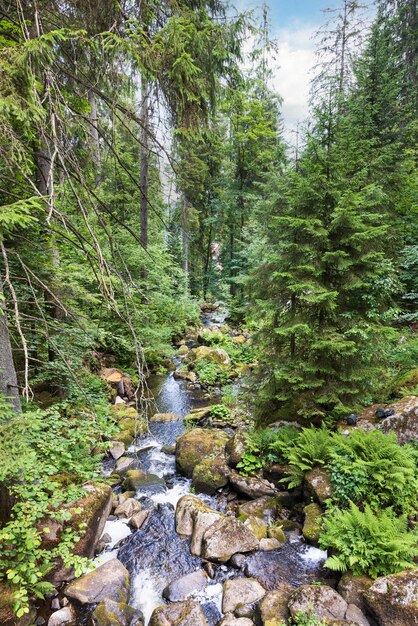 Cascada en Triberg Alemania