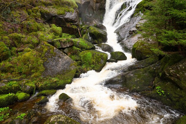 Foto la cascada de triberg en la selva negra, la caída más alta de alemania, el río gutach se sumerge en siete escalones.