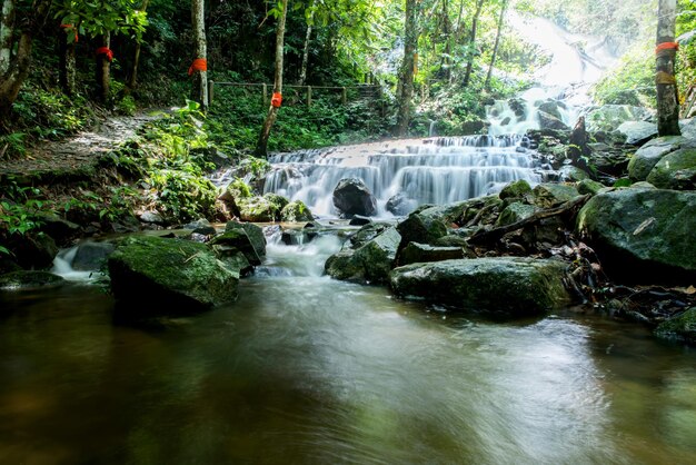 Cascada de turismo en el bosque, al norte de Tailandia