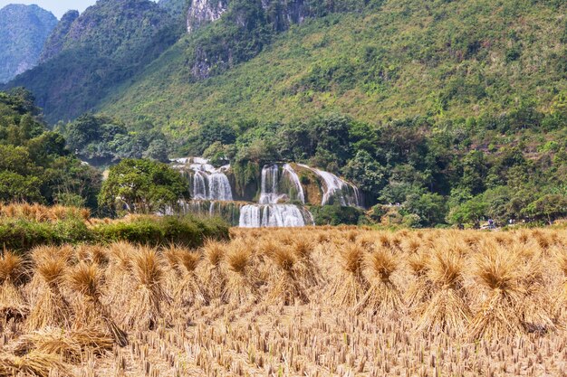 Cascada en Vietnam