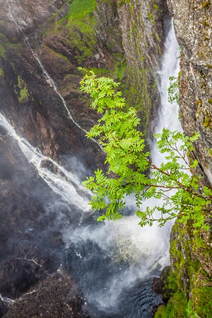 Foto la cascada voringfossen, el cuarto pico más alto de noruega