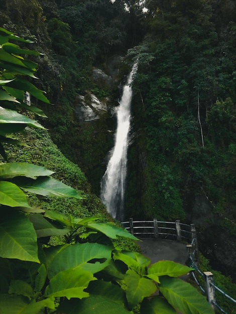 Foto la cascada