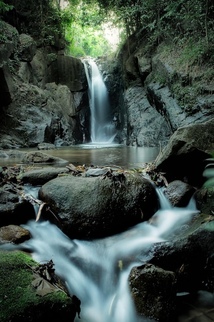 Cascadas bosques naturaleza y ambiente por la noche.