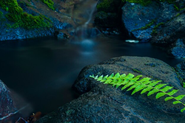 Cascadas en las montañas del distrito de Paro Aceh Besar Aceh Indonesia