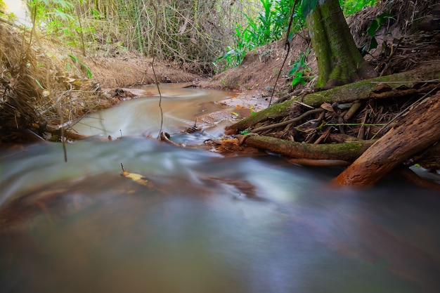 Cascadas en la naturaleza