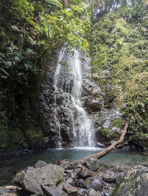 Cascadas en el parque nacional de Santa Fe en Panamá