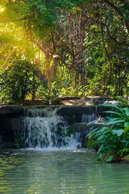 Cascadas en el parque