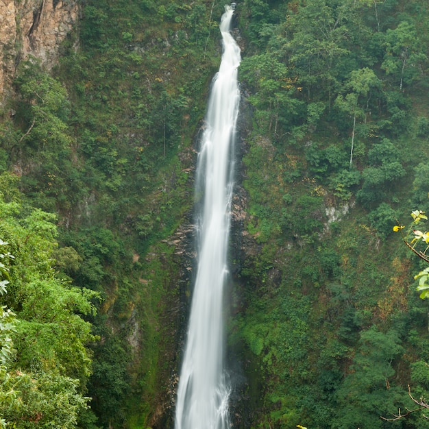 Cascadas que fluyen por el acantilado