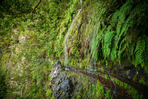 Cascadas que fluyen hacia la levada