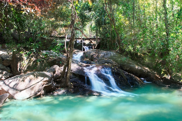 Foto las cascadas son hermosas, con agua corriendo y con peces