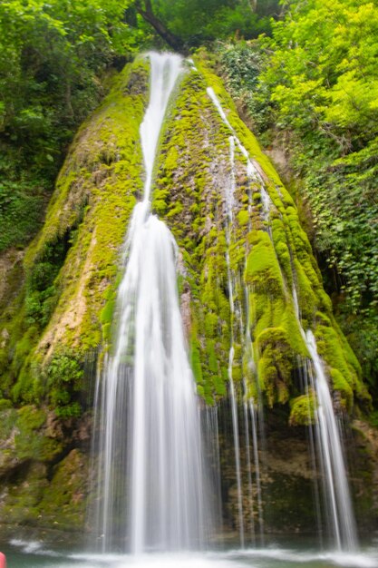 Foto cascadas suaves abraçam florestas verdejantes