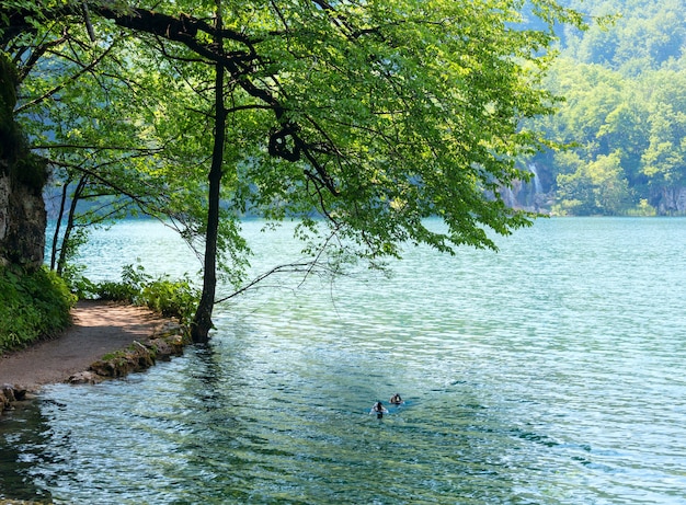 Cascadas de verano, lago y patos salvajes en el Parque Nacional de los Lagos de Plitvice (Croacia)