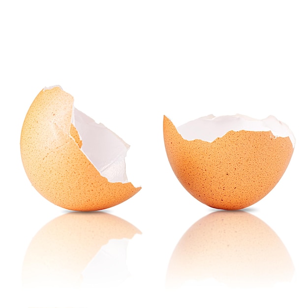 Cáscara de huevo aislada en blanco Cáscara de huevo rota aislada en blanco