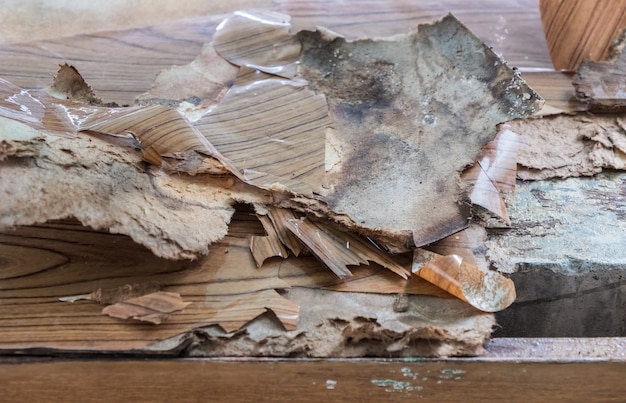 La cáscara de madera contrachapada se está pelando del gabinete de concreto.