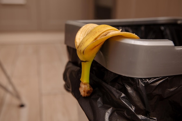 cáscara de plátano en un contenedor de basura