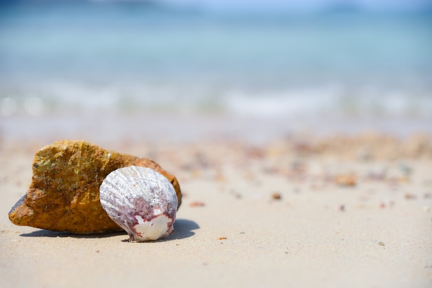 Una cáscara en la playa con el fondo azul borroso del mar. Concepto de día de verano