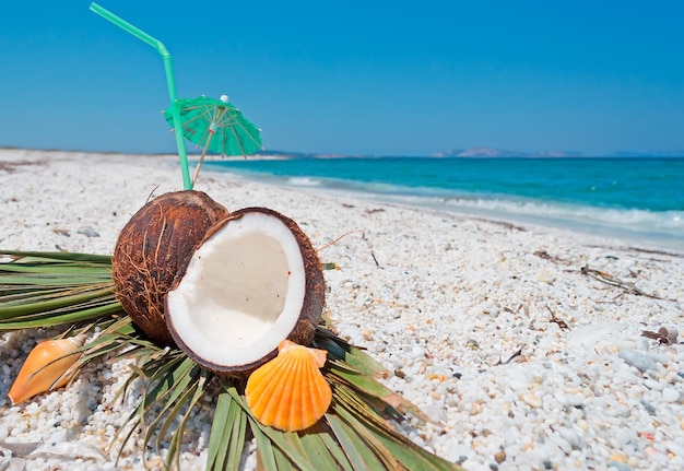 Cascas de laranja e cocos em uma praia deserta