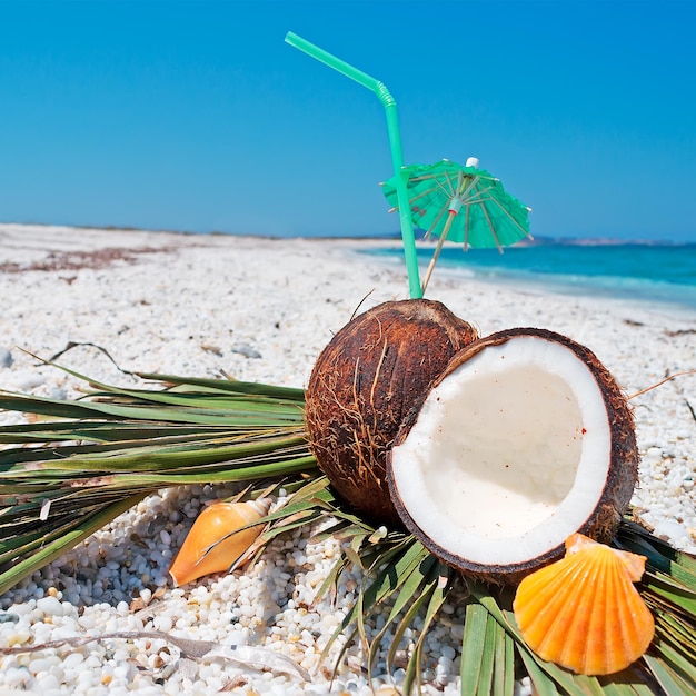 Cascas de laranja e cocos em uma praia deserta