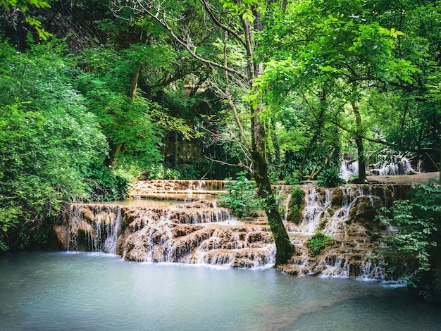 Cascata de cachoeira na floresta chamada cachoeiras de kroshuna na bulgária