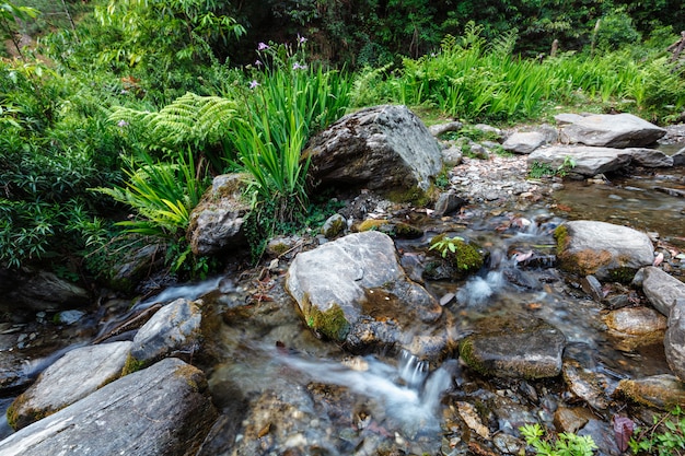 Cascata. jibi, himachal pradesh