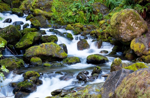 Cascata pequena