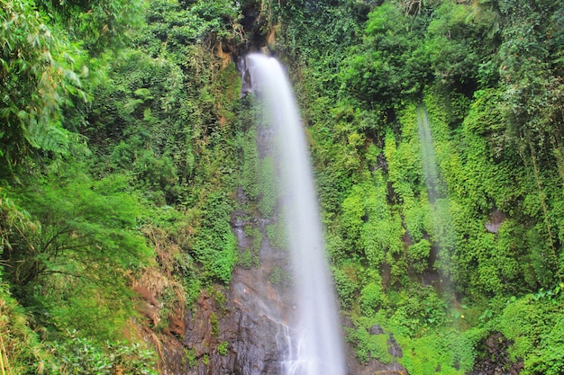 Foto cascata