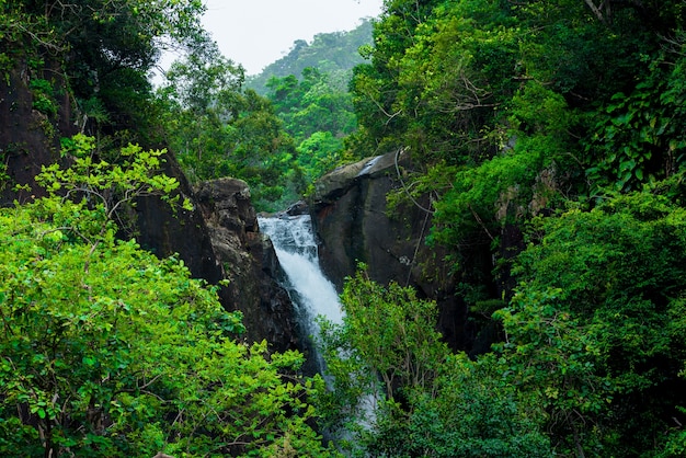 Foto cascata