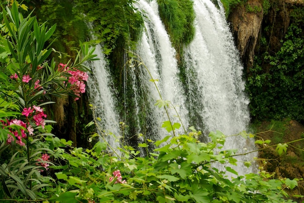 Foto cascatas da cachoeira da ravina