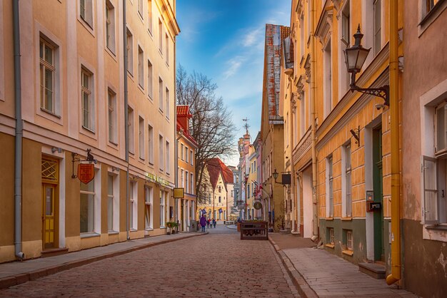 casco antiguo de tallin