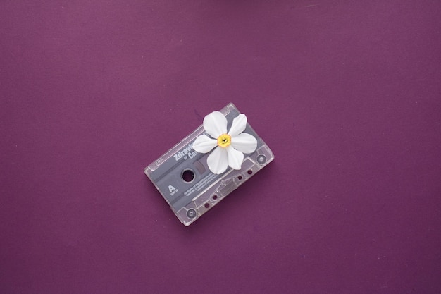 Un casete del medio de la bruja emerge una flor blanca sobre fondo azul.