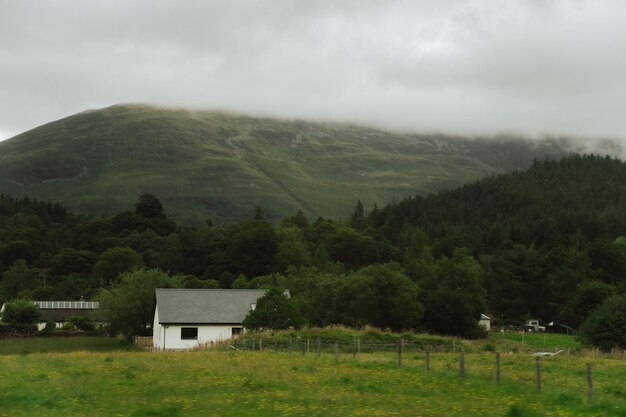 casinha branca escondida entre as árvores no vale de Glencoe