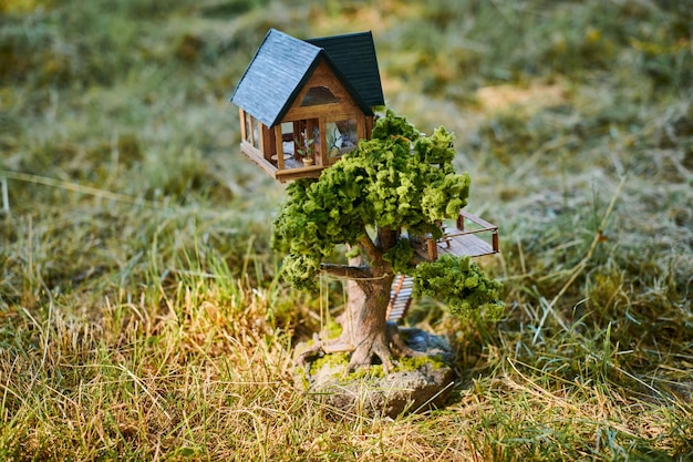 Casinha de bonecas no gramado da frente, linda e pequena casa decorativa no espaço da cópia do campo de grama verde