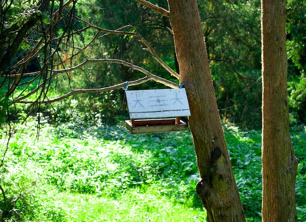 Casita para aves en el bosque en un árbol en un día soleado