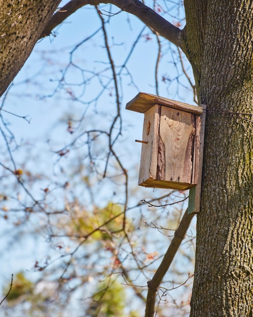 Casita para aves colgando de un árbol en el parque