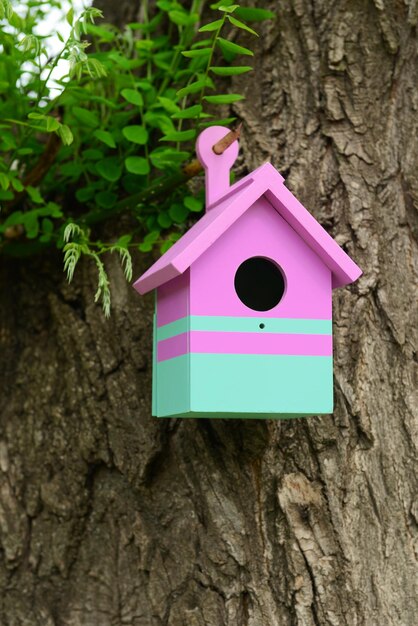 Casita para aves en el jardín al aire libre