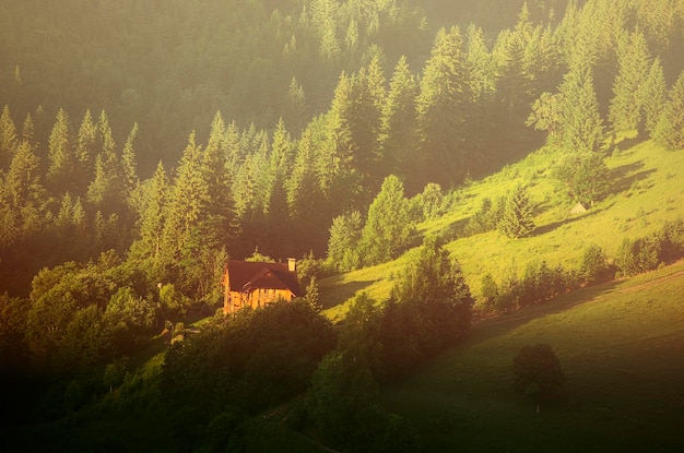 Casita en la ladera de una montaña verde